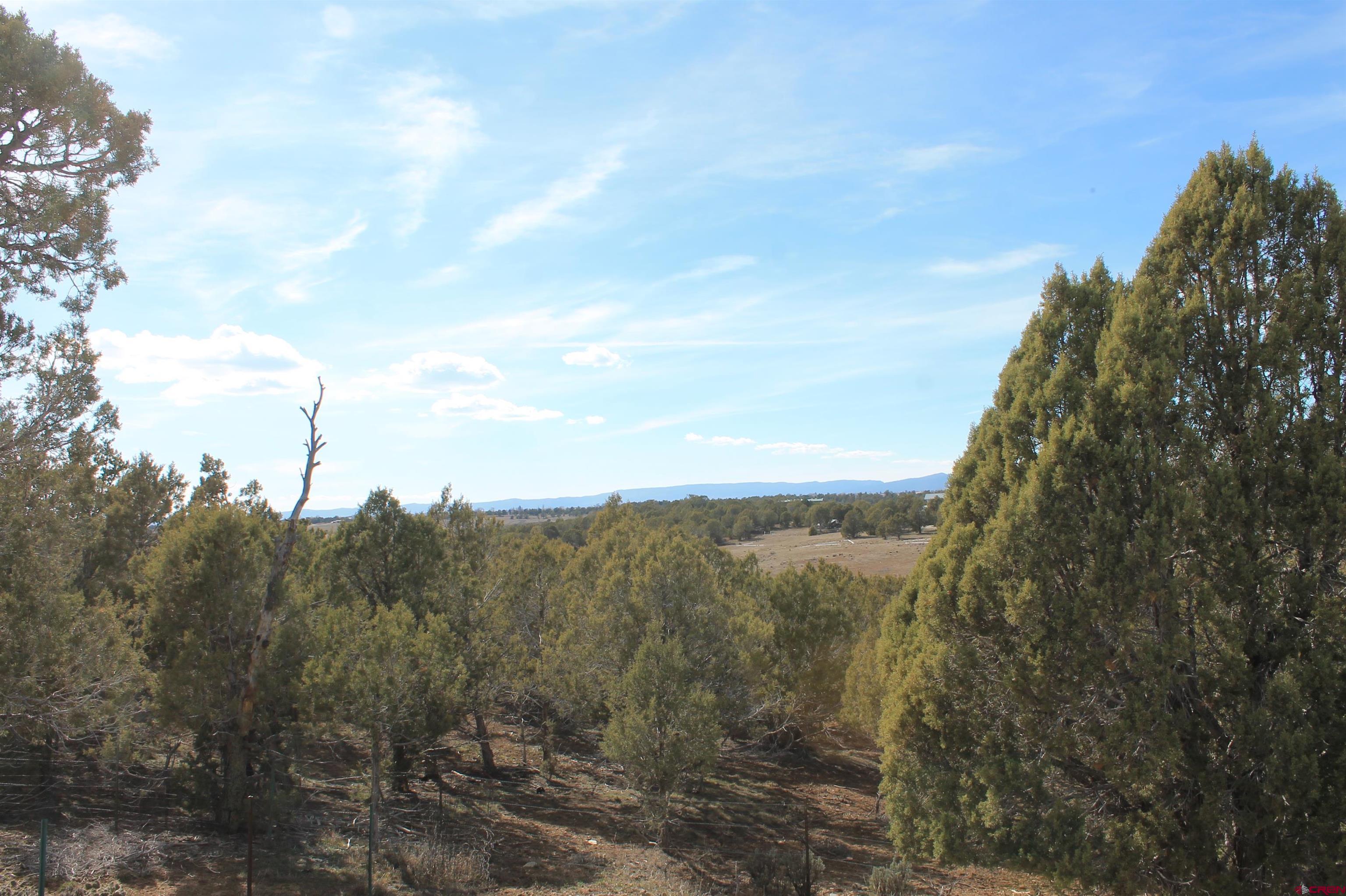 2944 County Road 510 Durango, CO 81303 - Photo 35 of 38 a view of a mountain