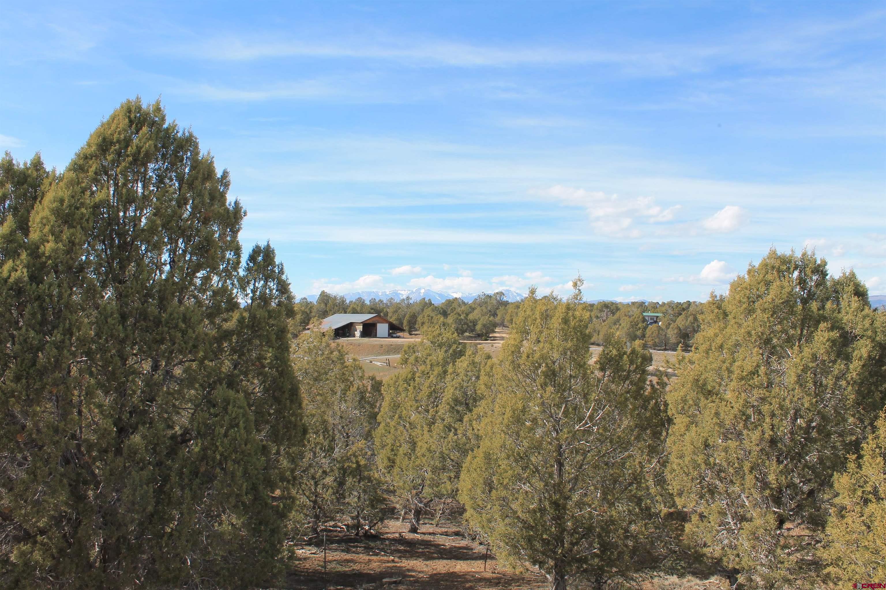 2944 County Road 510 Durango, CO 81303 - Photo 36 of 38 a view of a yard