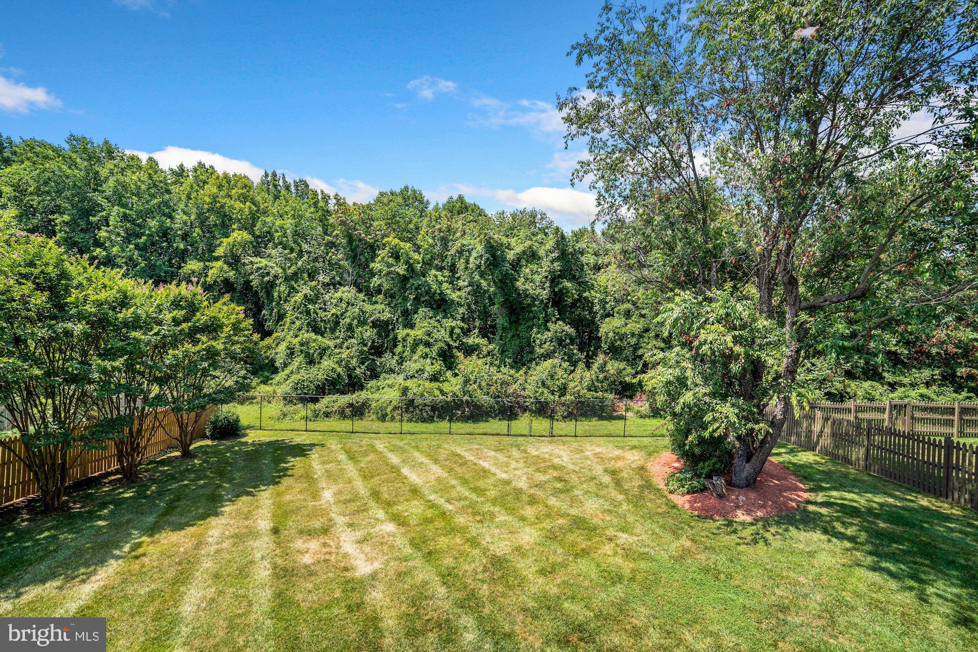 14312 Twig Road Silver Spring, MD 20905 - Photo 36 of 40