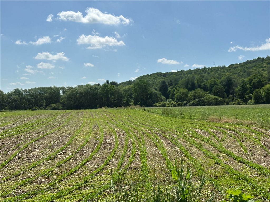 Lot 9 Summit Road Cuba, NY 14727 - Photo 15 of 22