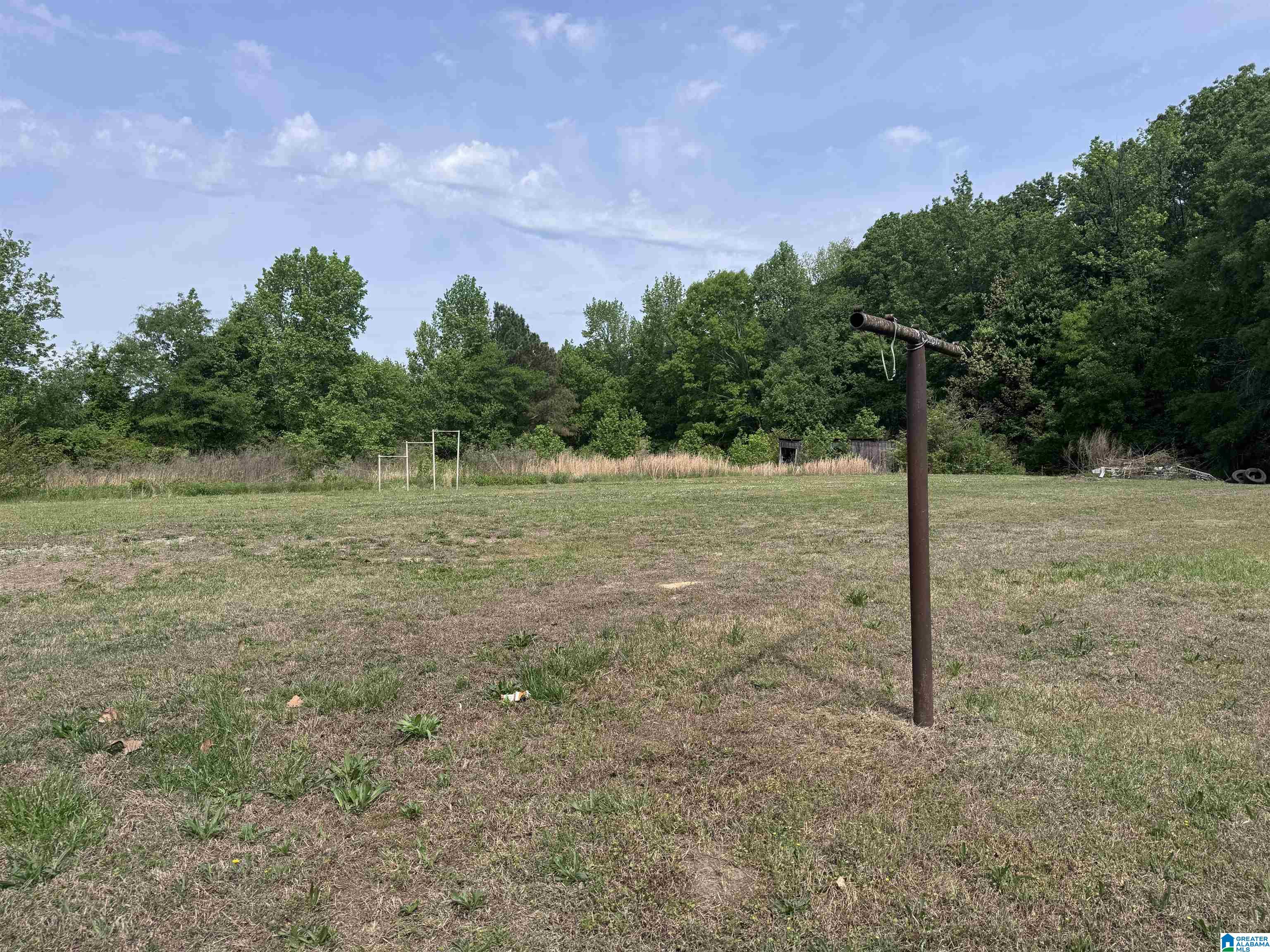 92 School Road Eva, AL 35621 - Photo 9 of 23