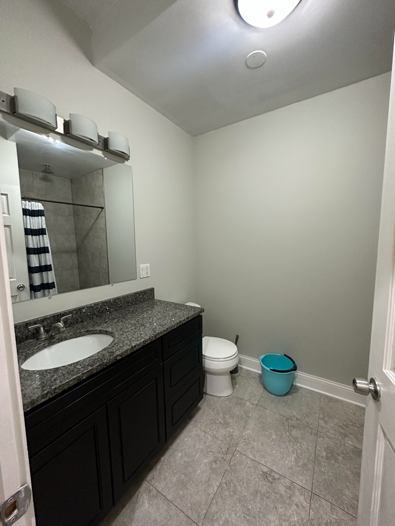 4336 South Indiana Avenue, Unit 1 Chicago, IL 60653 - Photo 11 of 15 a bathroom with a granite countertop sink and a toilet