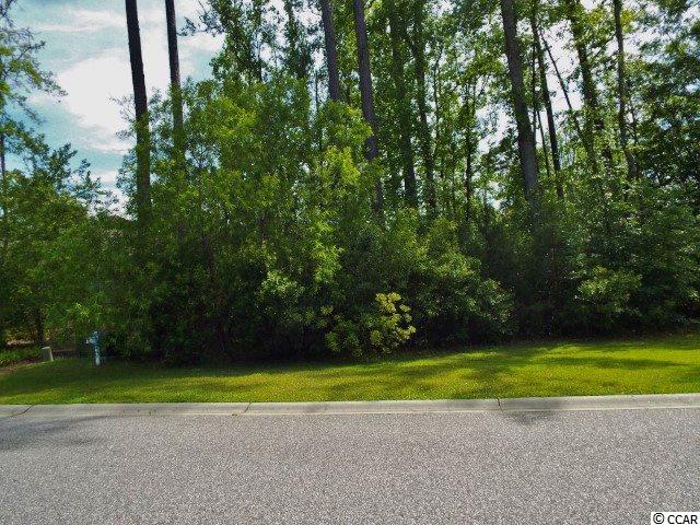 151 Rivers Edge Drive Conway, SC 29526 - Photo 1 of 7 Gallery Image 1