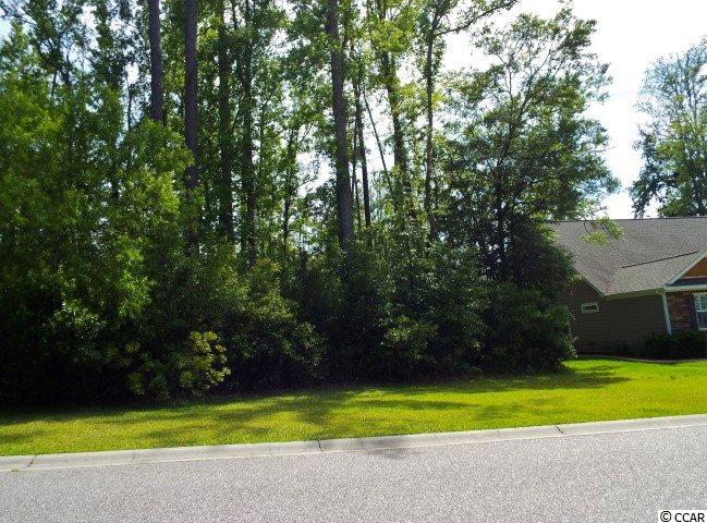 151 Rivers Edge Drive Conway, SC 29526 - Photo 2 of 7 Gallery Image 2