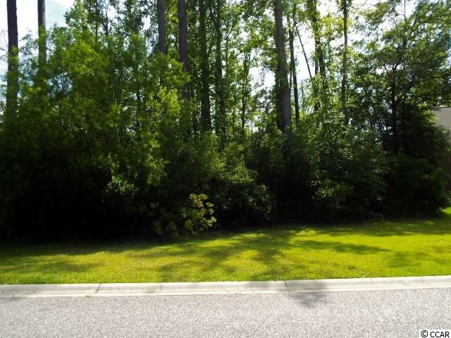 151 Rivers Edge Drive Conway, SC 29526 - Photo 3 of 7 Gallery Image 3