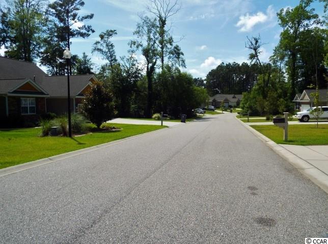 151 Rivers Edge Drive Conway, SC 29526 - Photo 5 of 7 Gallery Image 5