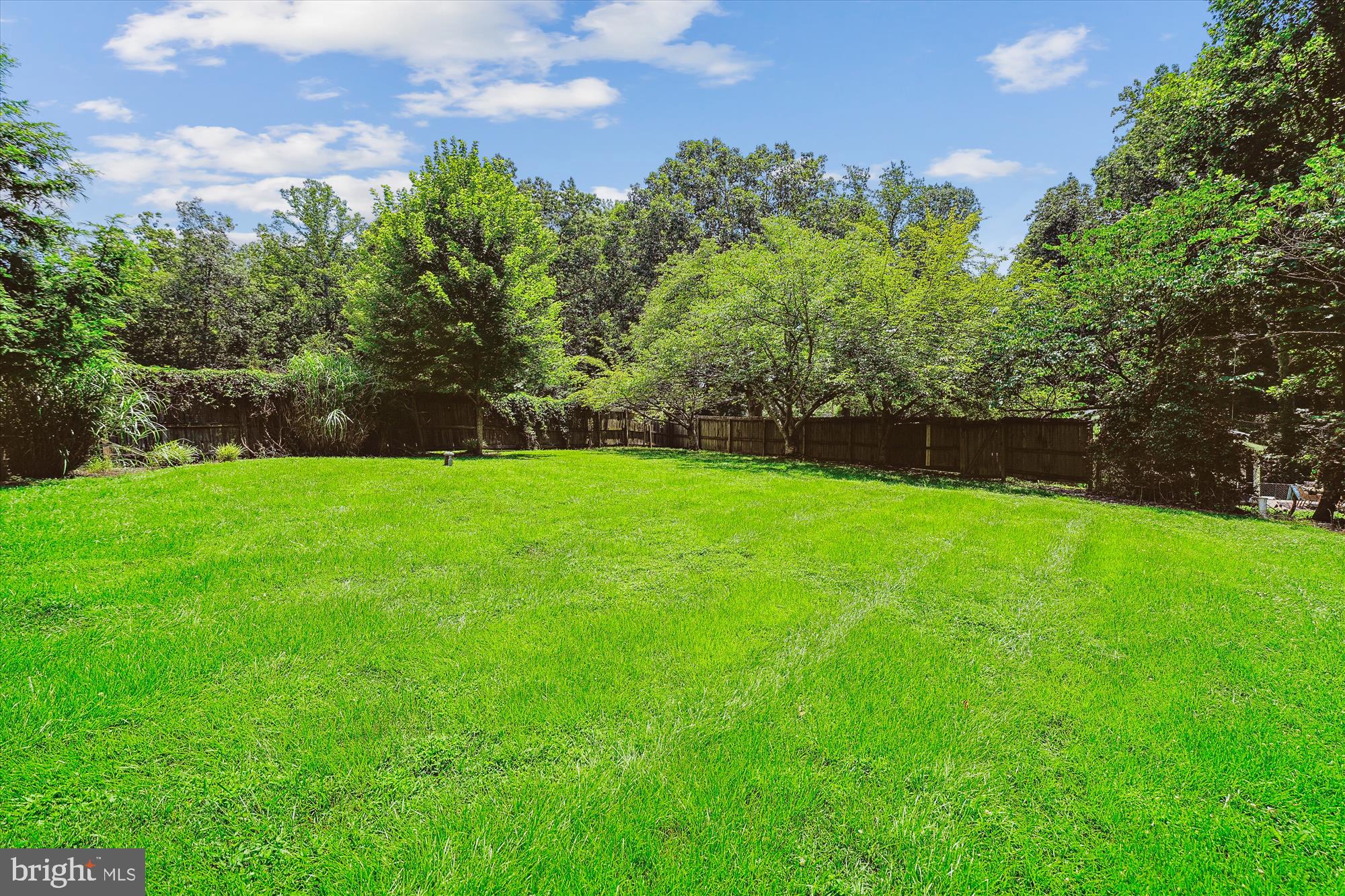12377 Henderson Road Clifton, VA 20124 - Photo 68 of 85 Side yard