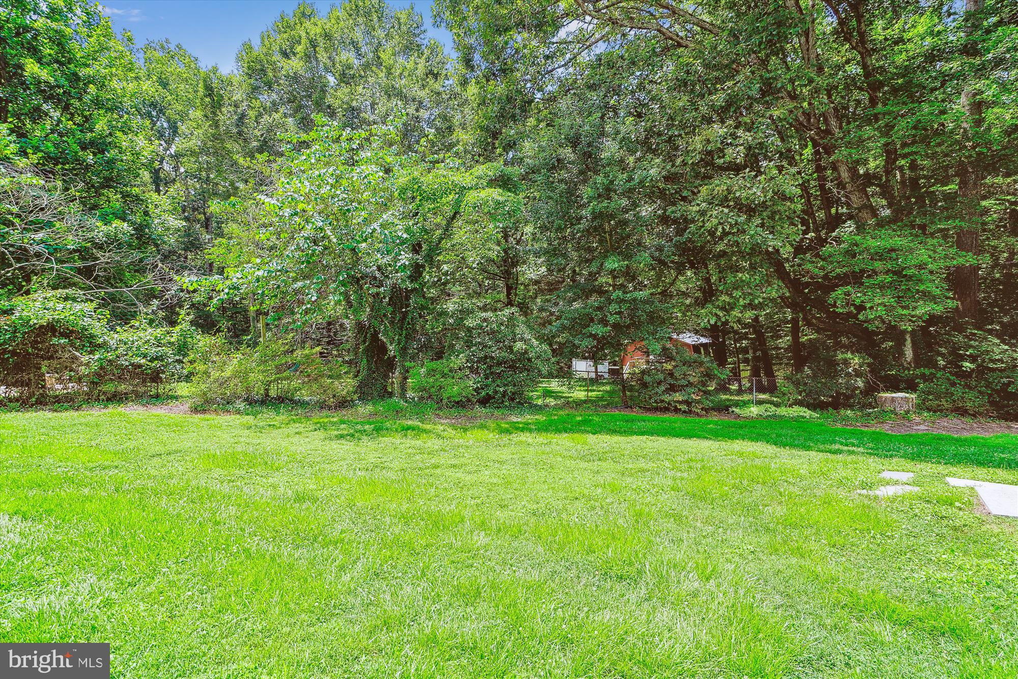 12377 Henderson Road Clifton, VA 20124 - Photo 69 of 85 Side yard