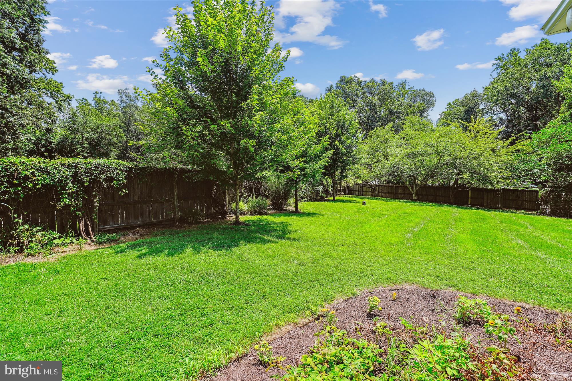 12377 Henderson Road Clifton, VA 20124 - Photo 70 of 85 Huge open rear yard