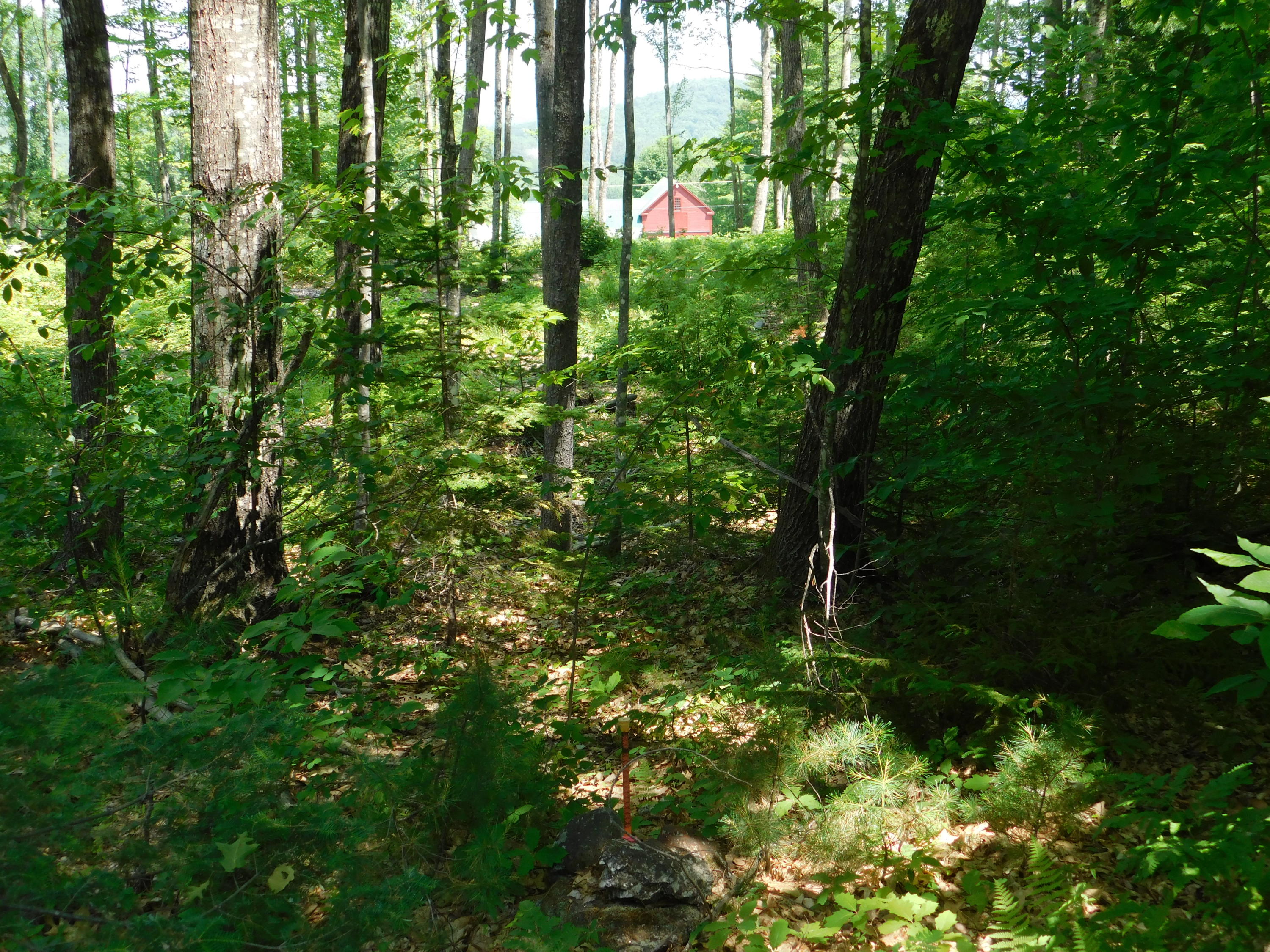 Lot#1 Fernald Hills Way Road Stow, ME 04037 - Photo 9 of 12 Lot#1