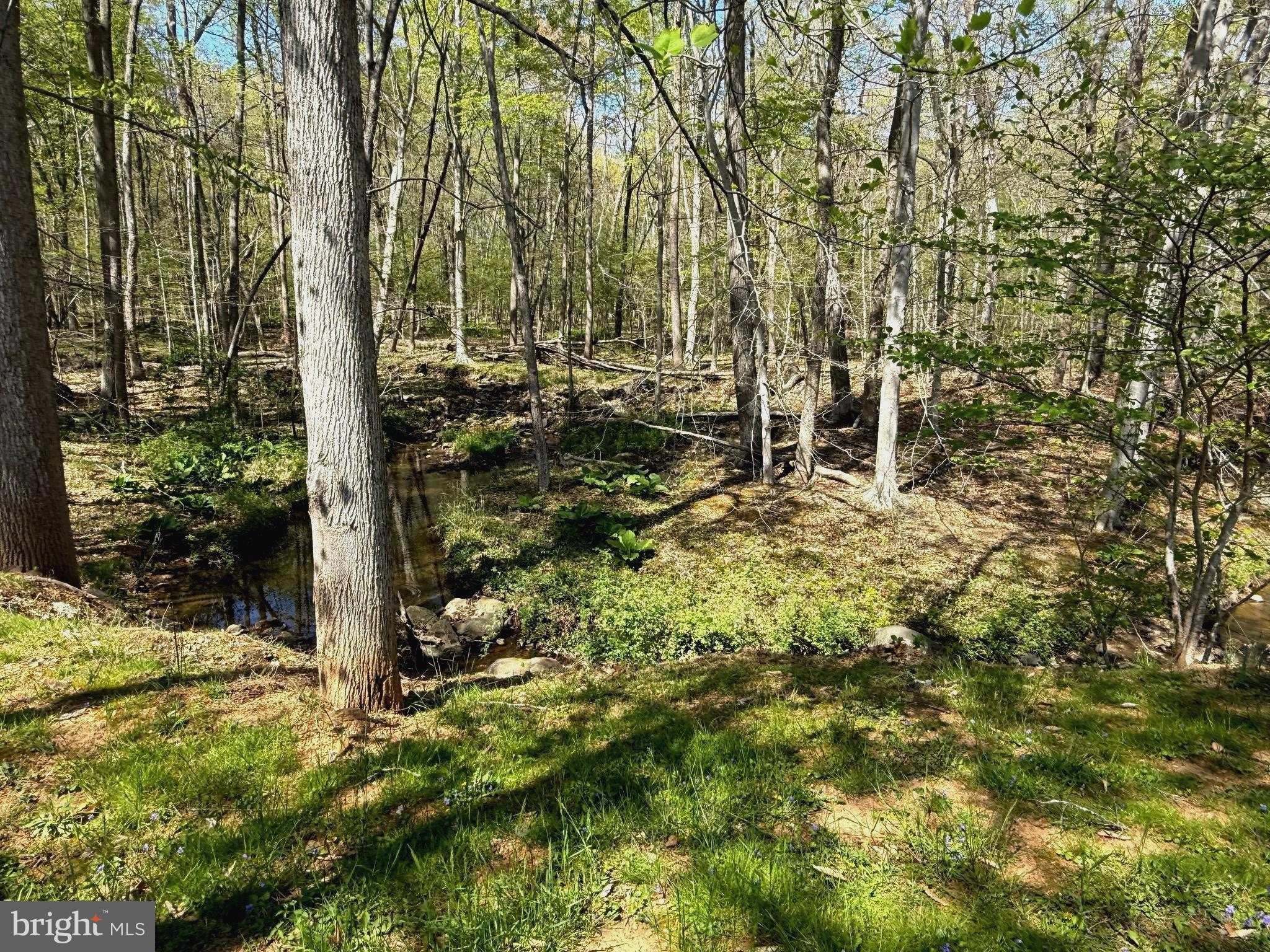 1768 Glen Cove Road Darlington, MD 21034 - Photo 23 of 26