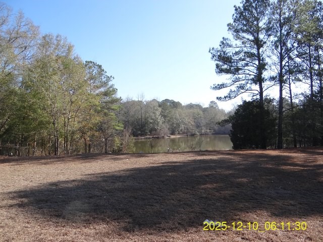 641 Cusseta Highway Box Springs, GA 31801 - Photo 6 of 18 a view of dirt field with trees