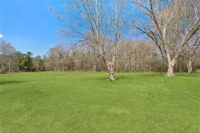 80695 Bob Baxter Road Bush, LA 70431 - Photo 30 of 48