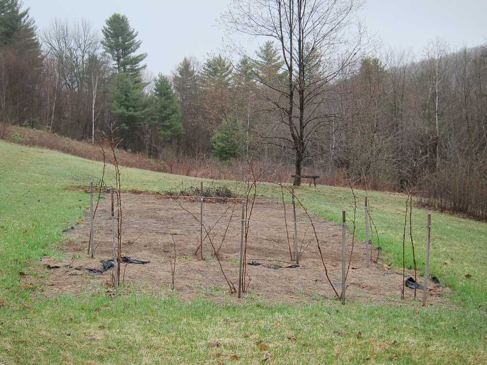 4871 Chelsea Road Corinth, VT 05039 - Photo 12 of 13