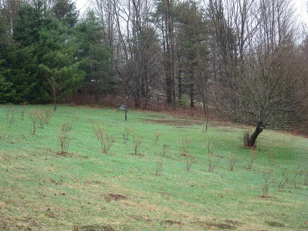 4871 Chelsea Road Corinth, VT 05039 - Photo 13 of 13