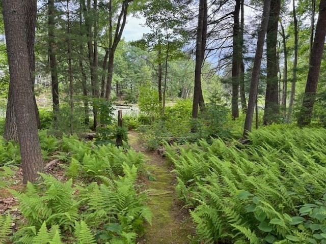 83 Littleton Road Ayer, MA 01432 - Photo 32 of 42 a view of outdoor space and green space