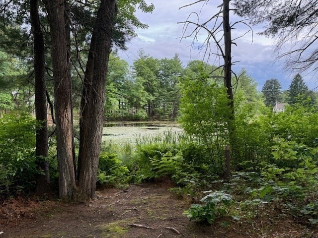 83 Littleton Road Ayer, MA 01432 - Photo 33 of 42 a view of a yard