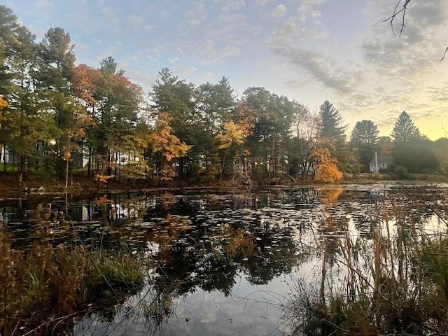 83 Littleton Road Ayer, MA 01432 - Photo 34 of 42 a view of outdoor space and trees