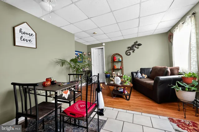 a living room with furniture a rug and a potted plant