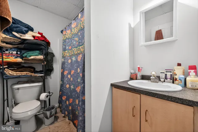 a bathroom with a sink a toilet and a shower curtain