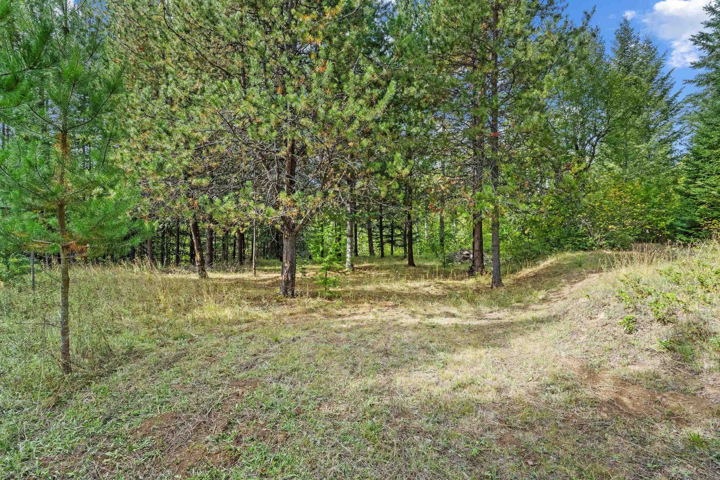 452 Catamount Ridge Lane Ione, WA 99139 - Photo 20 of 47 Gallery Image 20