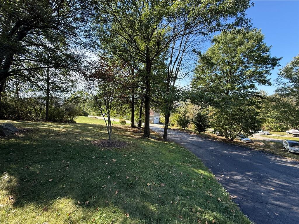 181 View Street Indiana, PA 15701 - Photo 6 of 34 a view of yard with trees