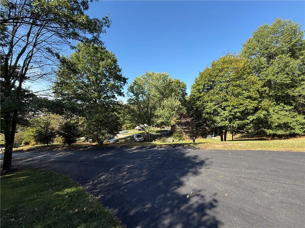 181 View Street Indiana, PA 15701 - Photo 7 of 34 a view of a yard with a tree