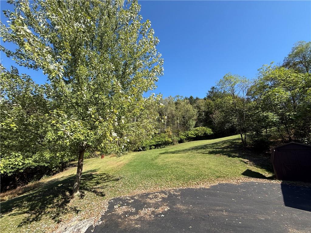 181 View Street Indiana, PA 15701 - Photo 8 of 34 a view of a yard with plants and a trees