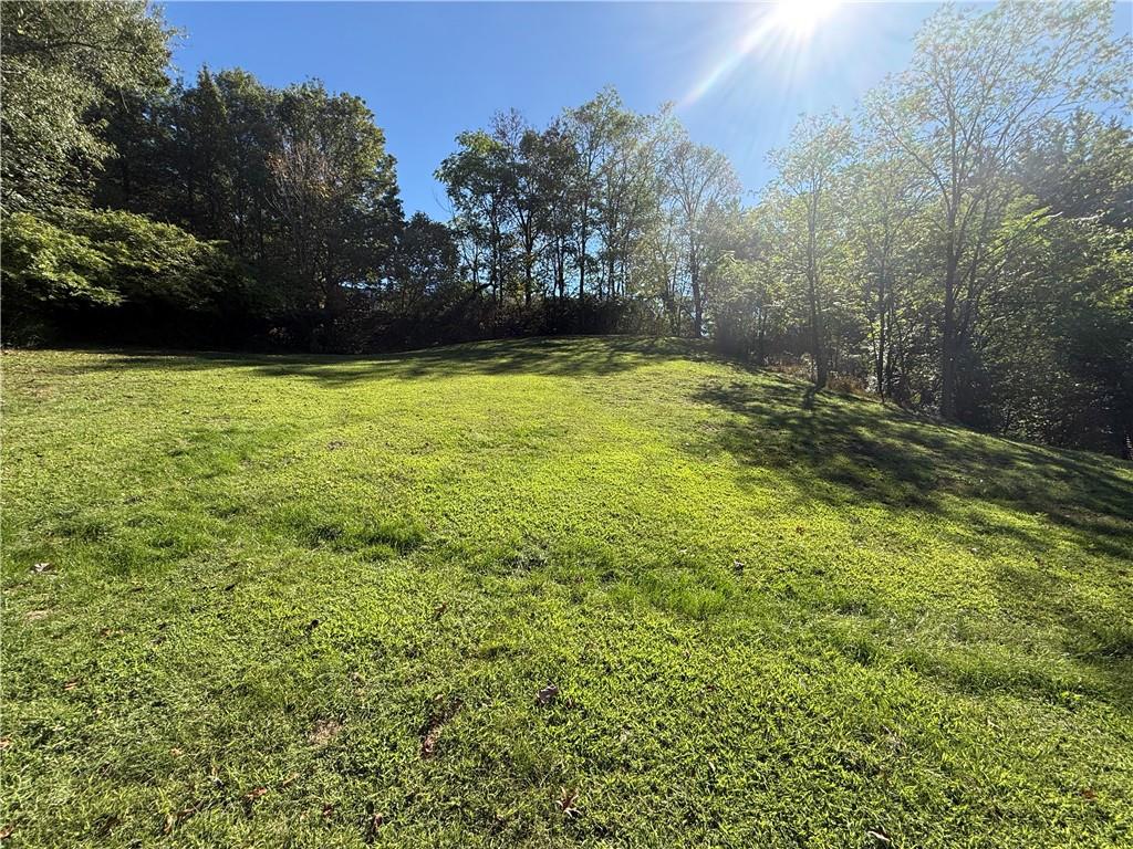 181 View Street Indiana, PA 15701 - Photo 9 of 34 a view of yard with green space