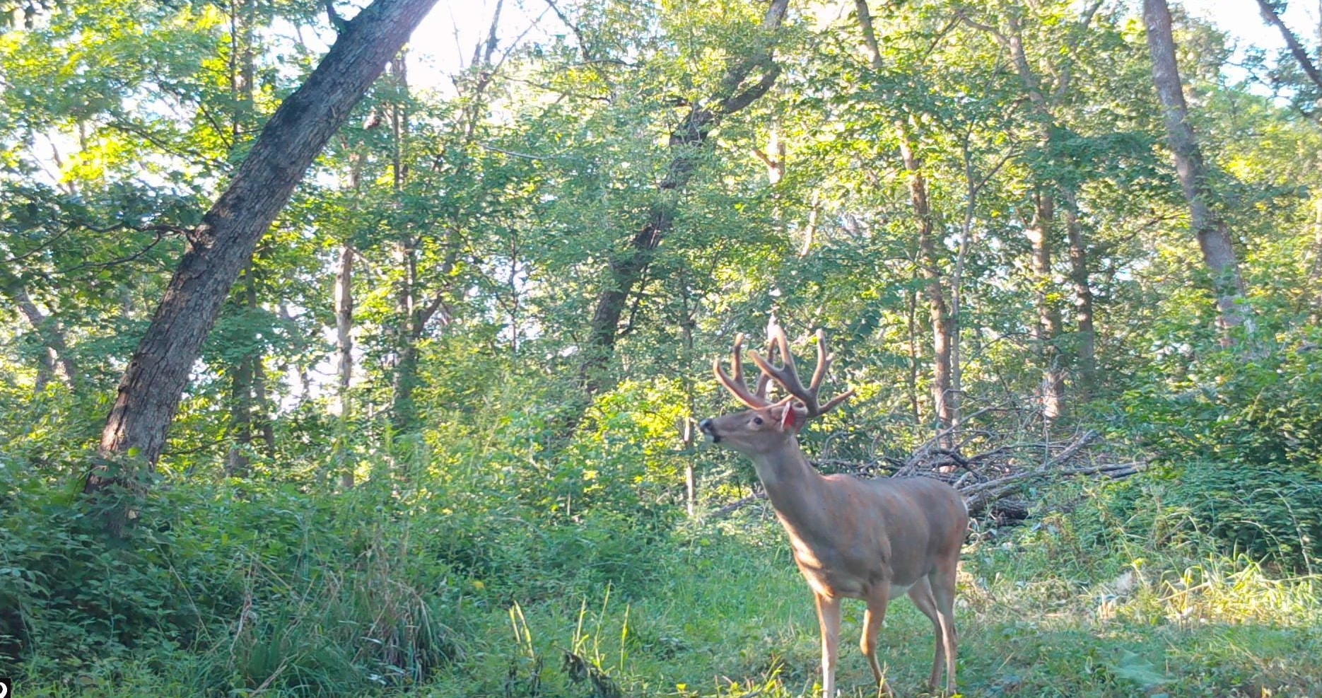 50792 Haney Valley Road Gays Mills, WI 54631 - Photo 26 of 39