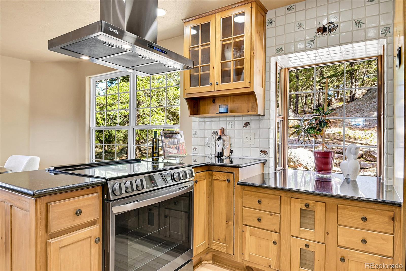 6530 Ridgeview Drive Morrison, CO 80465 - Photo 14 of 37