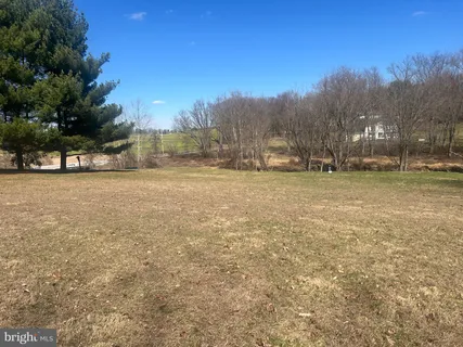 a view of a field with trees in the background