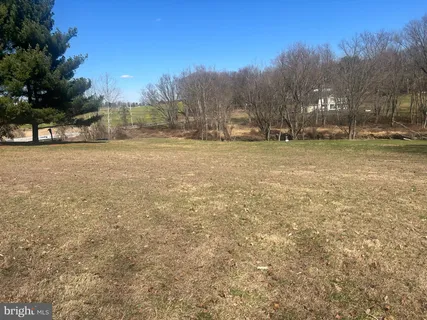 a view of outdoor space with trees all around