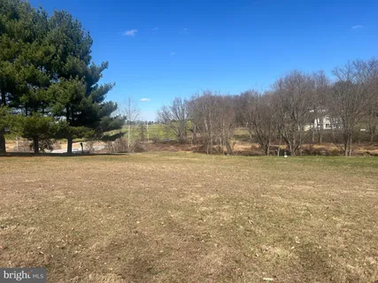 a view of open space with trees