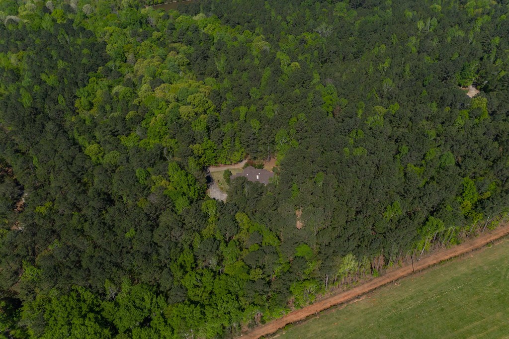 11196-7 County Line Road Midland, GA 31820 - Photo 2 of 34