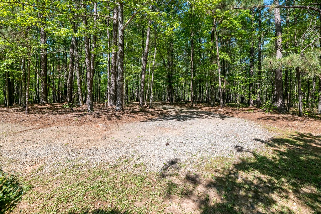 11196-7 County Line Road Midland, GA 31820 - Photo 29 of 34