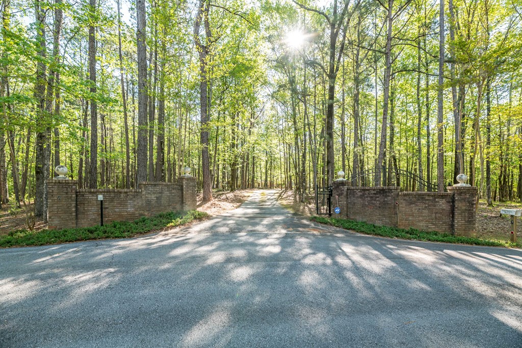 11196-7 County Line Road Midland, GA 31820 - Photo 3 of 34