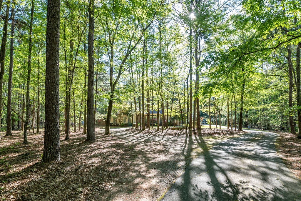 11196-7 County Line Road Midland, GA 31820 - Photo 32 of 34