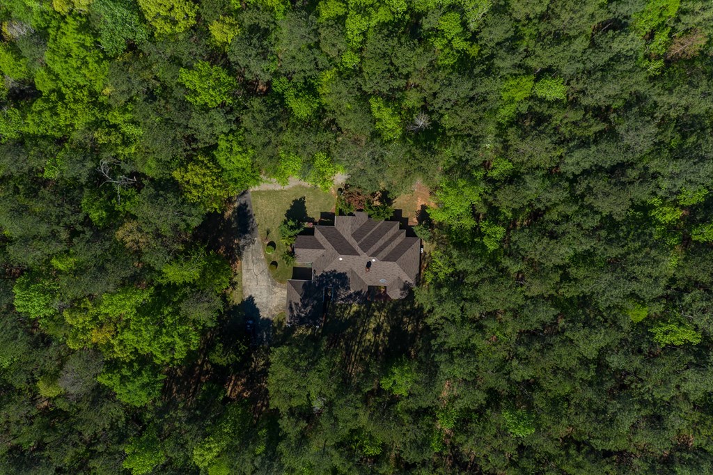 11196-7 County Line Road Midland, GA 31820 - Photo 33 of 34