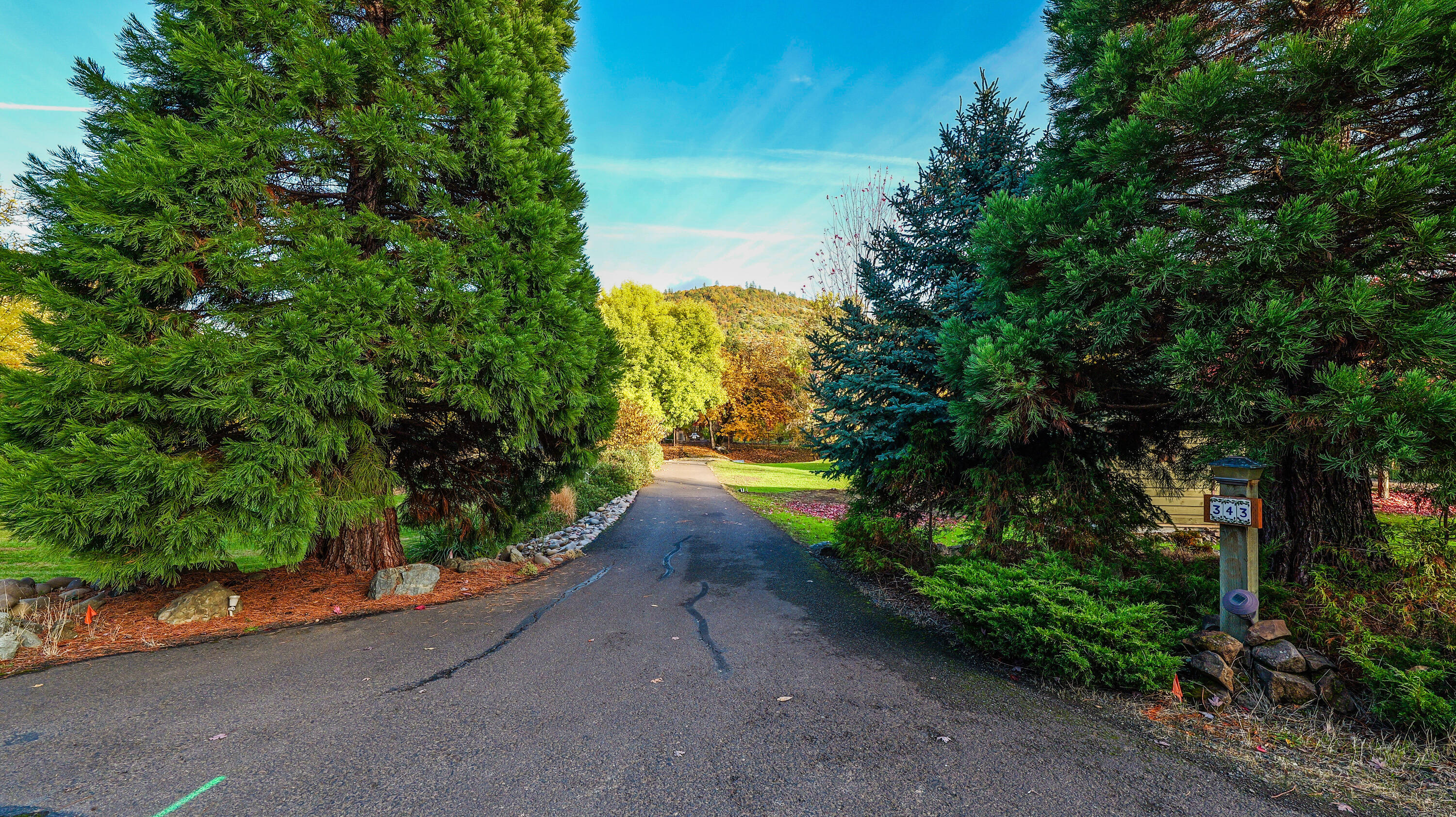343 Rene Drive Shady Cove, OR 97539 - Photo 137 of 152 343 Rene Fall (30)