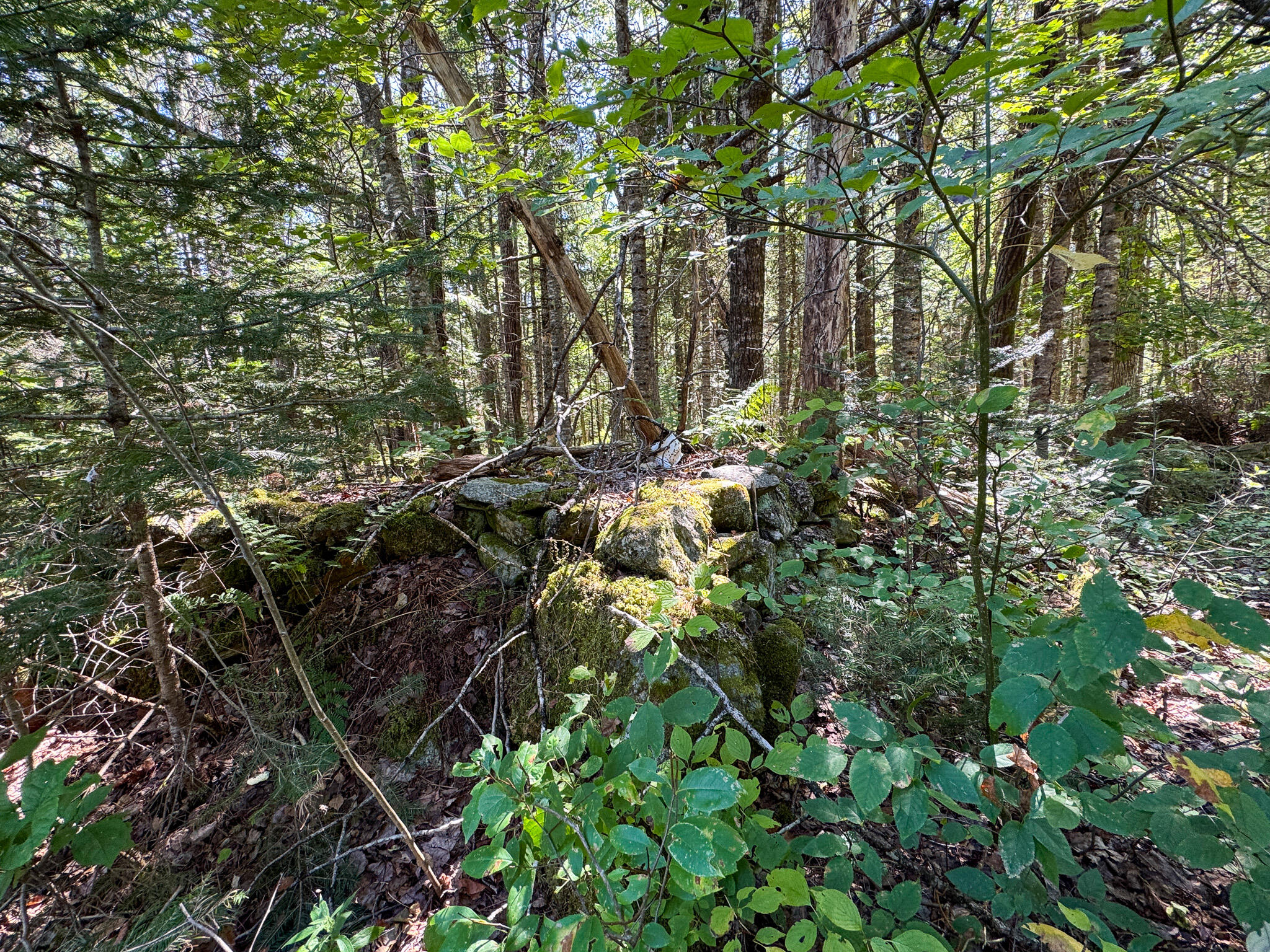 251 Springfield Road Winn, ME 04495 - Photo 17 of 17 17