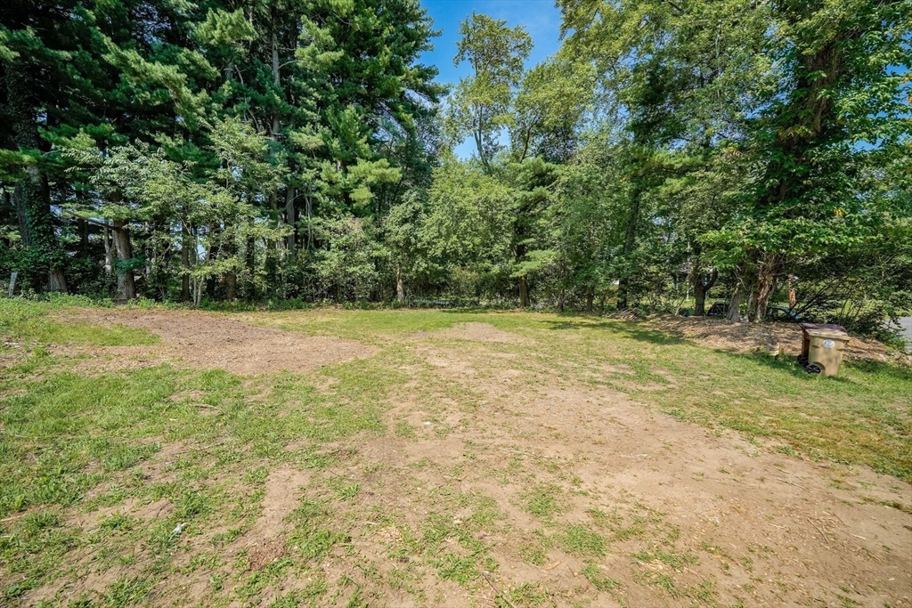 61 West Street Ludlow, MA 01056 - Photo 22 of 29 a view of a yard with a tree