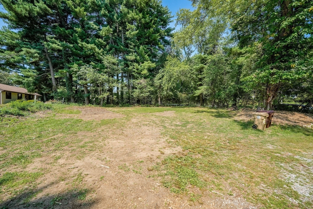 61 West Street Ludlow, MA 01056 - Photo 23 of 29 a view of outdoor space with a garden and trees