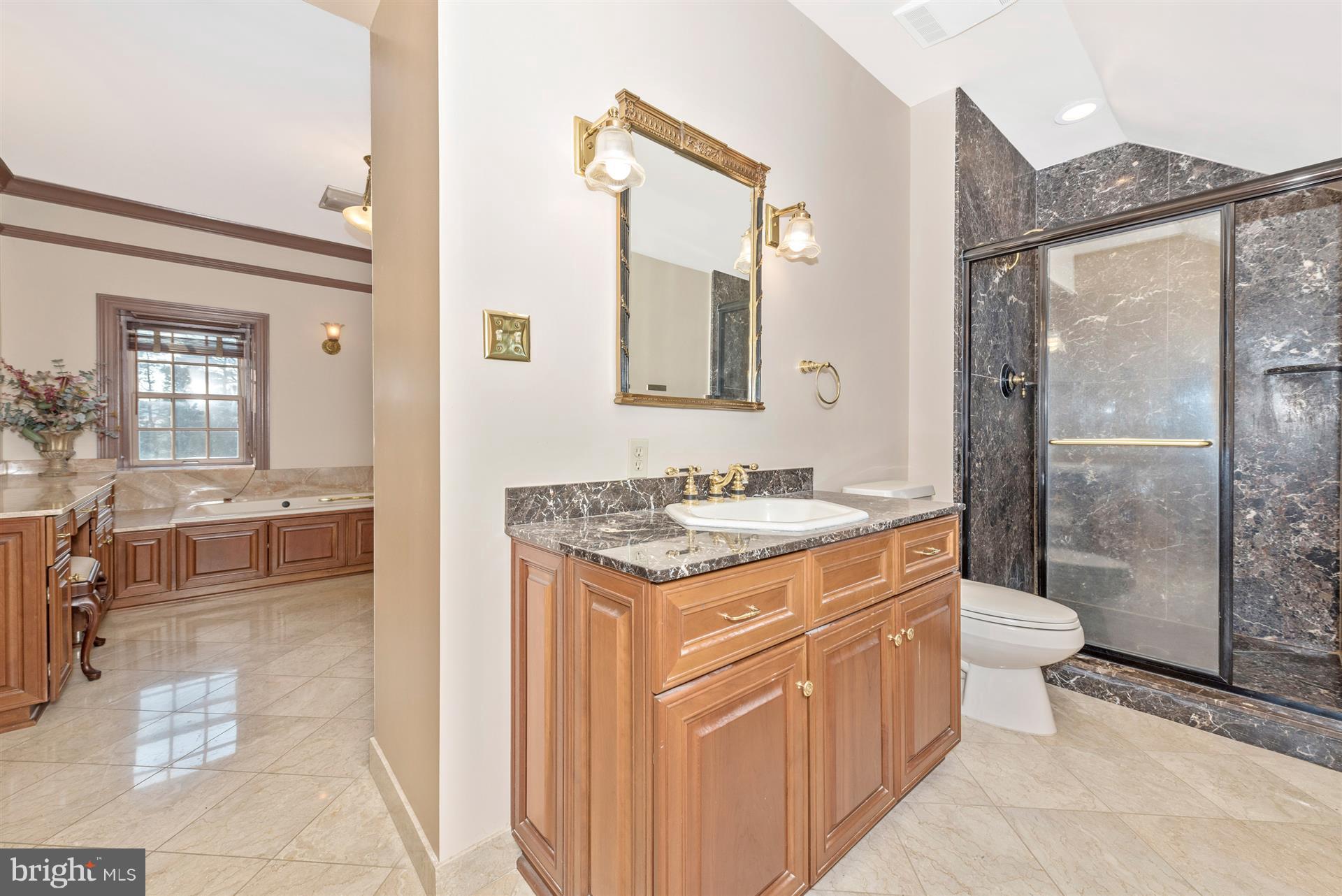 6415 Green Valley Road New Market, MD 21774 - Photo 36 of 98 Master Bathroom