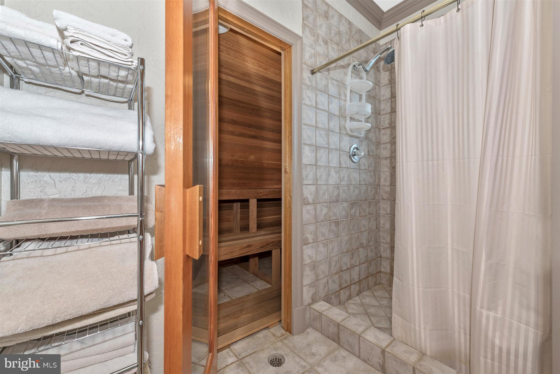 6415 Green Valley Road New Market, MD 21774 - Photo 58 of 98 Sauna Room in the Pool House