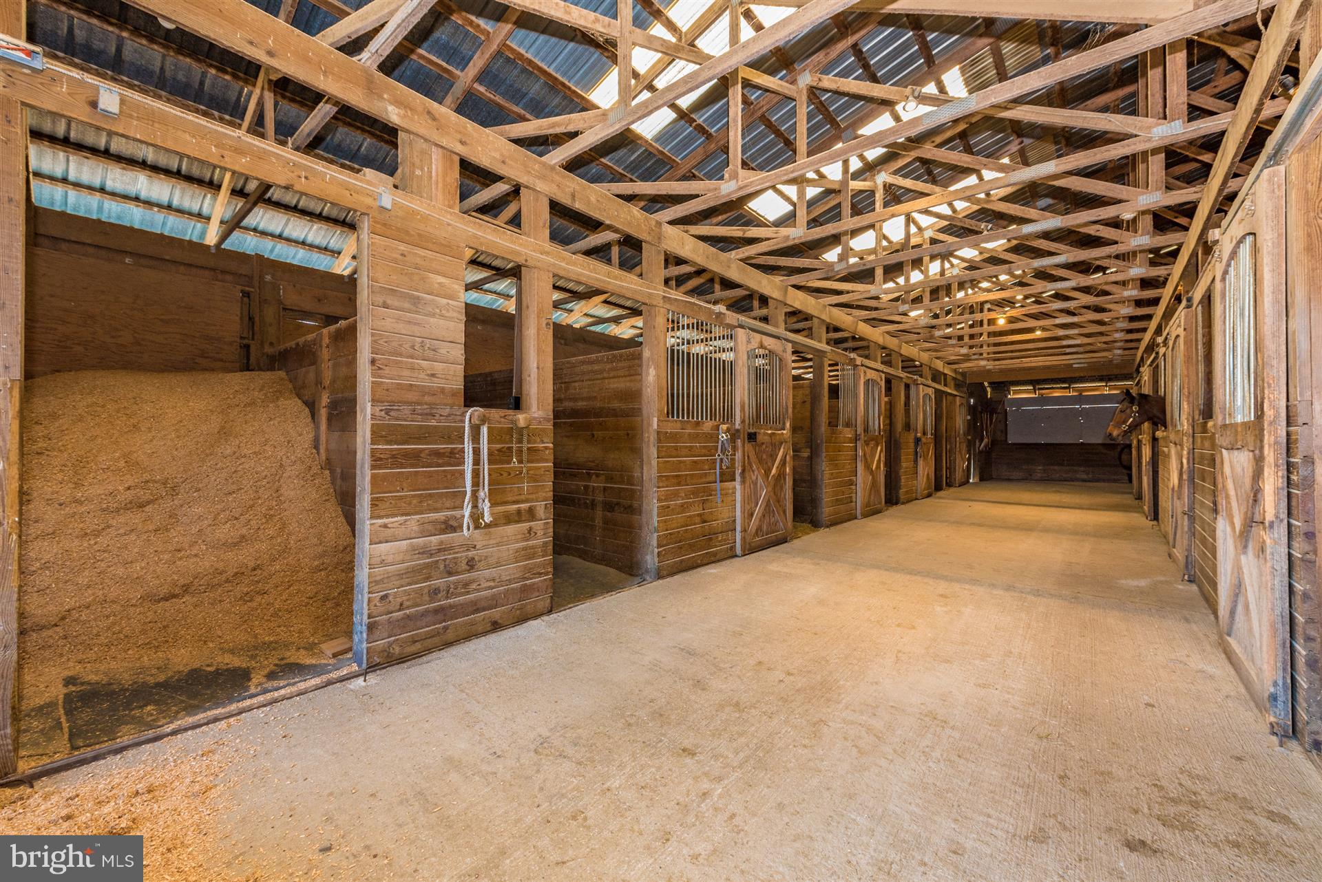 6415 Green Valley Road New Market, MD 21774 - Photo 70 of 98 Horse Stalls in the Main Barn