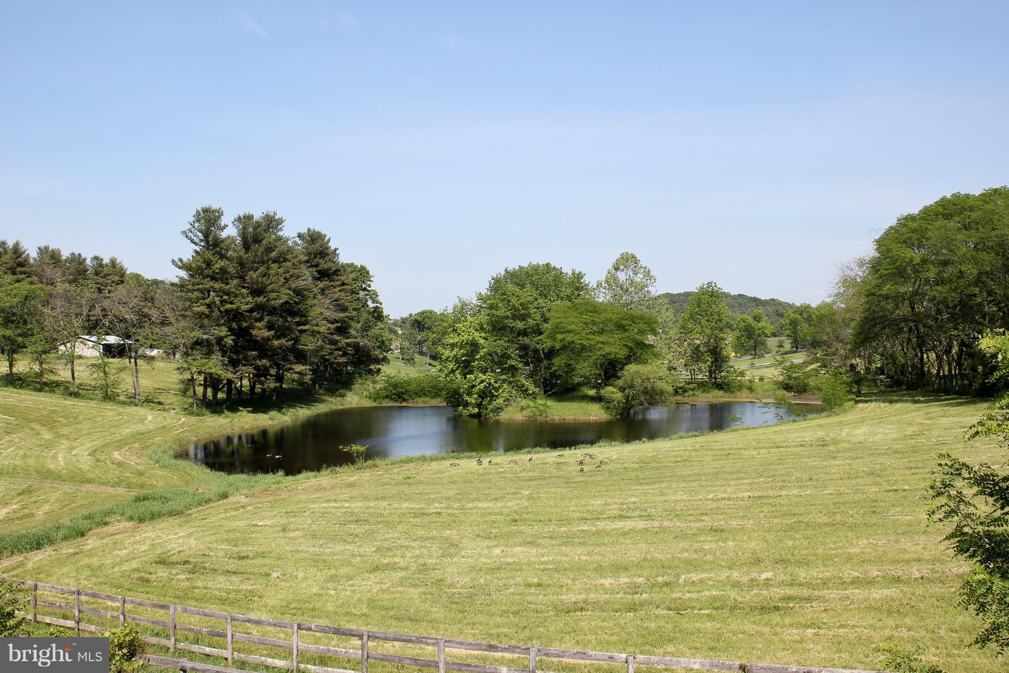 6415 Green Valley Road New Market, MD 21774 - Photo 75 of 98 Horseshoe pond on the Farm