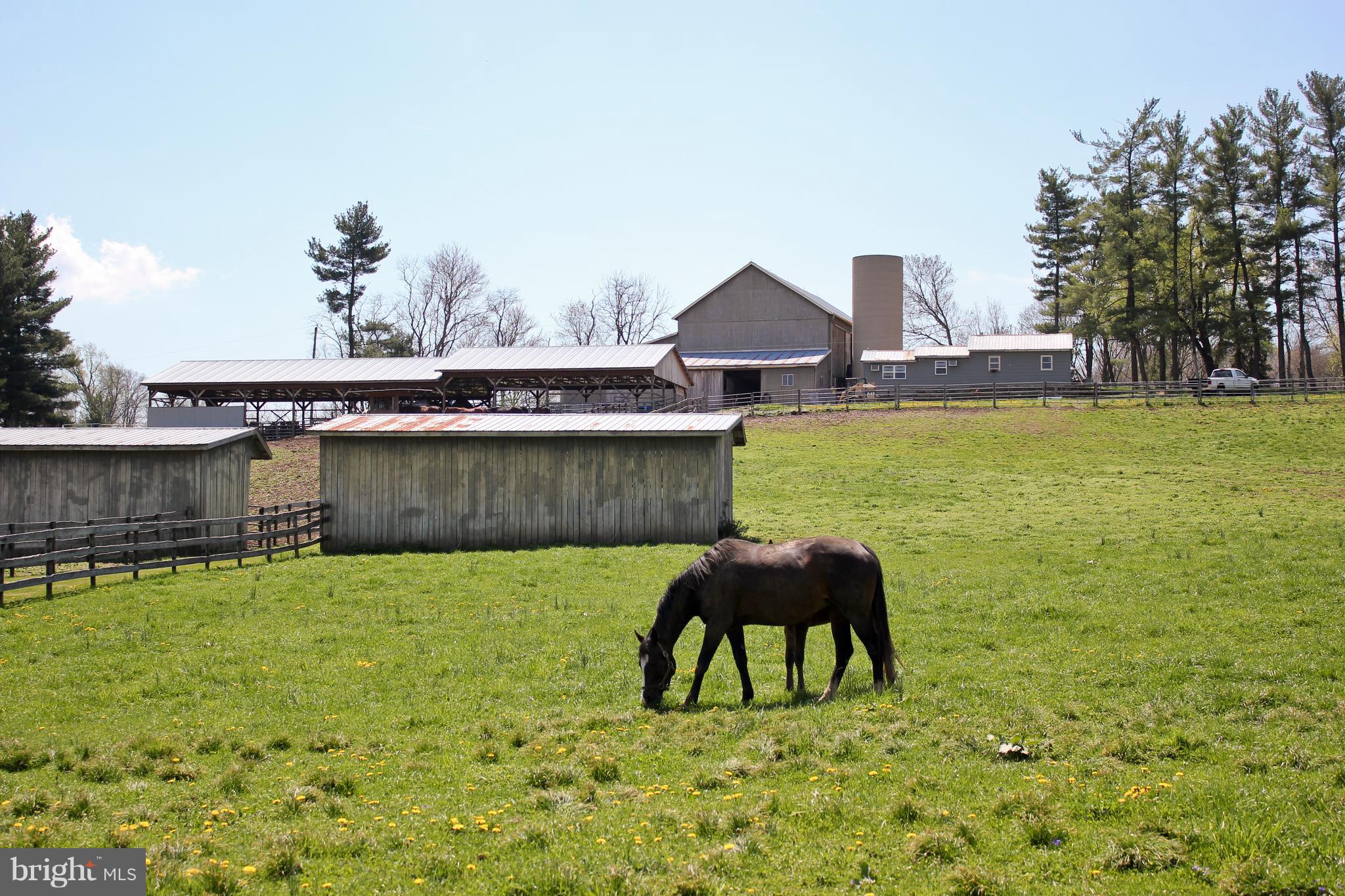 6415 Green Valley Road New Market, MD 21774 - Photo 78 of 98 Fenced farm fields and pasture