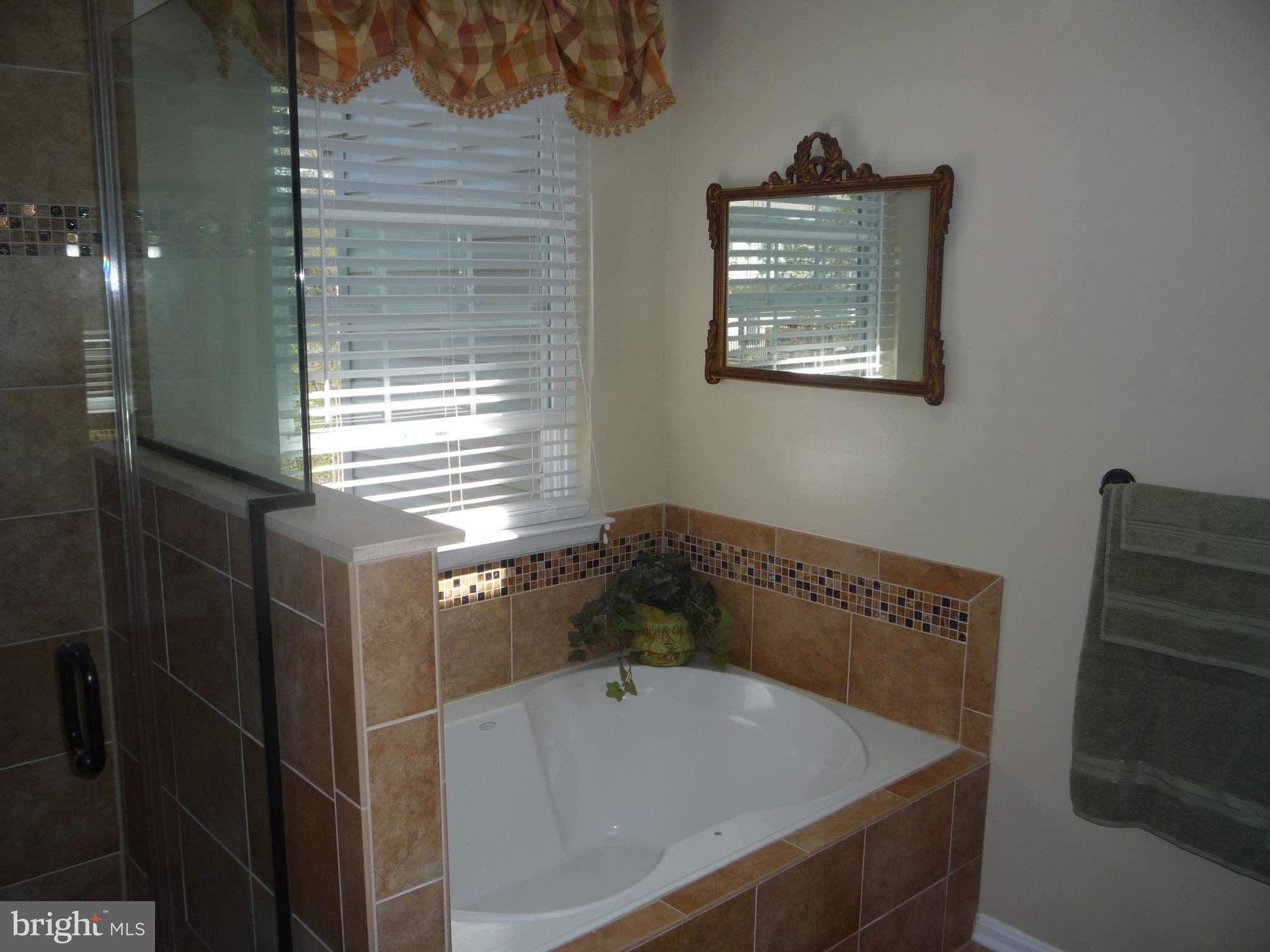 282 Braxton Way Edgewater, MD 21037 - Photo 13 of 28 Bath (Master)2