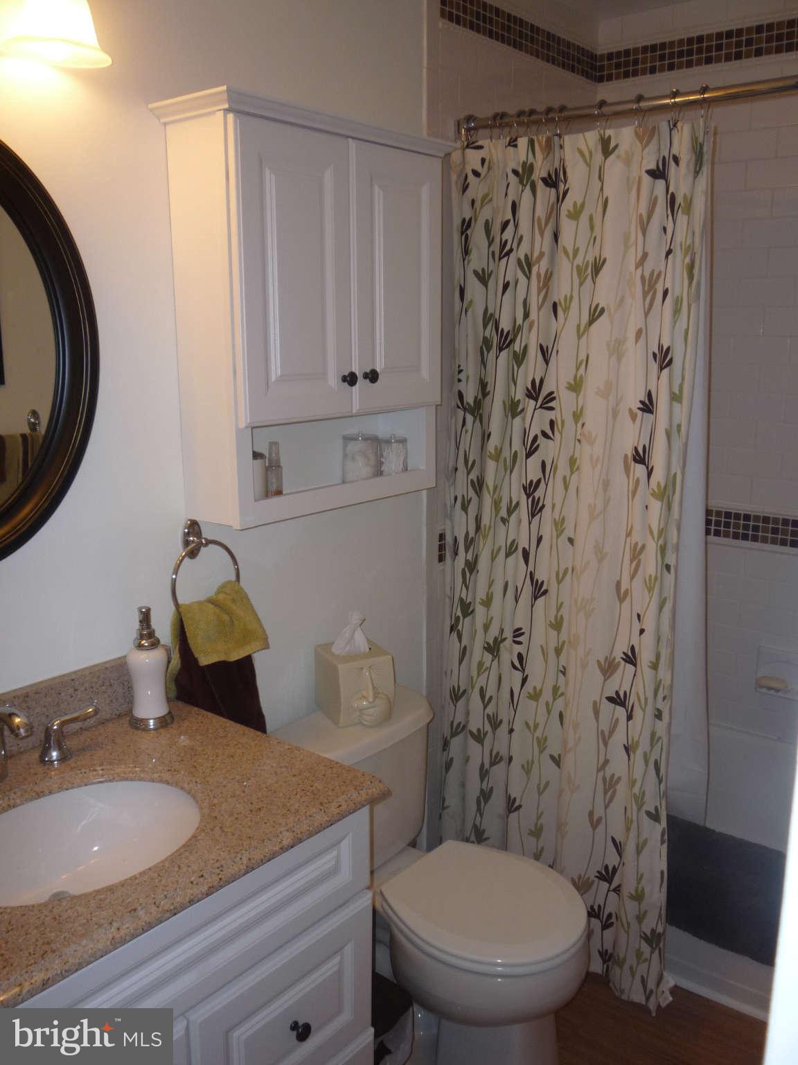 282 Braxton Way Edgewater, MD 21037 - Photo 22 of 28 Bath1